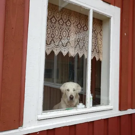 Yoe Kotikoivun Rauhassa * Kankaanpää