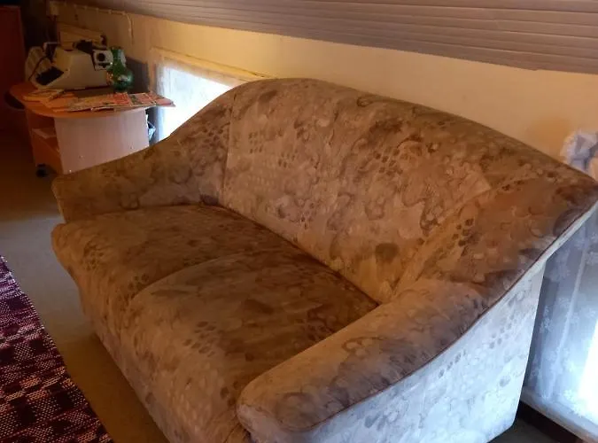 Daire Yoe Kotikoivun Rauhassa